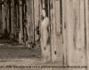 Waverly Hills Sanatorium Ghost